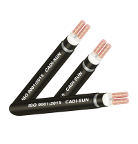 Cáp ngầm 2 ruột bọc cách điện XLPE, bọc vỏ PVC