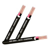 Cáp đồng 2 ruột, bọc cách điện PVC, vỏ bọc PVC_CVV2x Cáp đồng 2 ruột, bọc cách điện PVC, vỏ bọc PVC_CVV2x