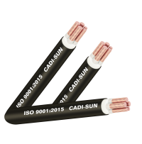 Cáp đồng 5 ruột, bọc cách điện XLPE, vỏ bọc PVC_CXV 3x+2 Cáp đồng 5 ruột, bọc cách điện XLPE, vỏ bọc PVC_CXV 3x+2