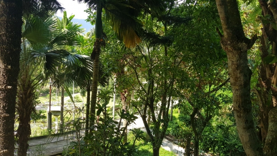 DỰ ÁN NHÀ NGHỈ CUỐI TUẦN - LONG HOÀNG FARM